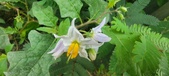 Enlarge photo 378