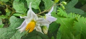 Enlarge photo 379