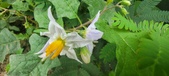 Enlarge photo 381