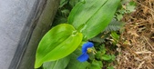 Enlarge photo 382