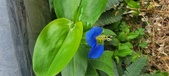 Enlarge photo 383