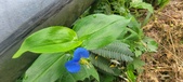 Enlarge photo 386