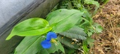 Enlarge photo 385