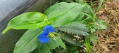 Enlarge photo 384