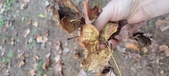 Enlarge photo 392