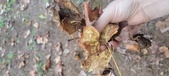 Enlarge photo 393