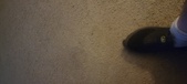 Enlarge photo 394