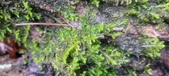 Enlarge photo 395