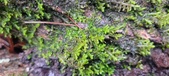 Enlarge photo 397