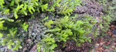 Enlarge photo 400