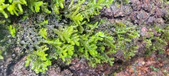 Enlarge photo 402