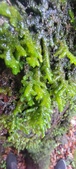 Enlarge photo 406