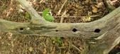 Enlarge photo 18
