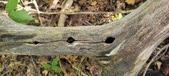 Enlarge photo 24