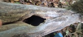 Enlarge photo 28