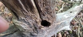 Enlarge photo 25