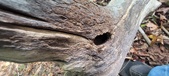 Enlarge photo 32