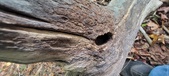 Enlarge photo 31