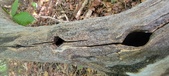 Enlarge photo 30