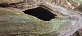 Enlarge photo 36