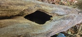 Enlarge photo 35