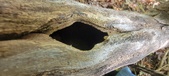Enlarge photo 34