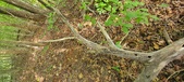Enlarge photo 40