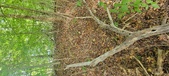 Enlarge photo 39