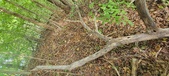 Enlarge photo 38