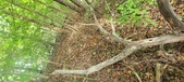 Enlarge photo 37