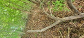 Enlarge photo 44
