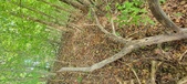 Enlarge photo 43