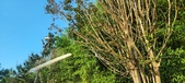 Enlarge photo 42
