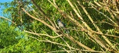 Enlarge photo 41