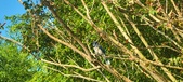 Enlarge photo 48