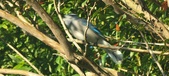 Enlarge photo 47