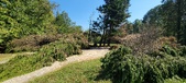 Enlarge photo 46