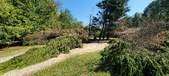 Enlarge photo 45