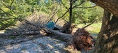 Enlarge photo 52