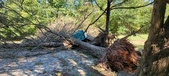 Enlarge photo 51