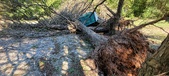 Enlarge photo 50