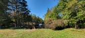 Enlarge photo 55