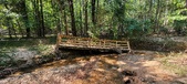 Enlarge photo 58