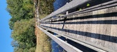 Enlarge photo 63