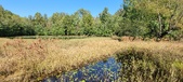 Enlarge photo 62