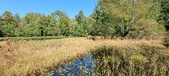 Enlarge photo 61