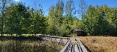 Enlarge photo 65