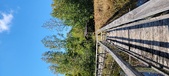 Enlarge photo 72