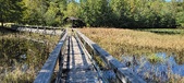 Enlarge photo 70