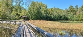 Enlarge photo 69